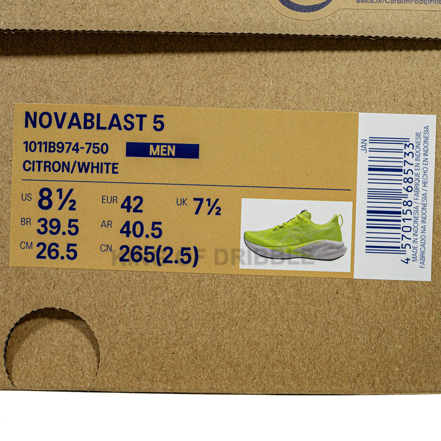 KING OF DRIBBLE Sepatu Running/Lari Asics Novablast 5 1011B974-750 Original