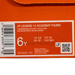 KING OF DRIBBLE Sepatu Bola Anak Nike JR Legend 10 Academy FG/MG DV4348-700 Original