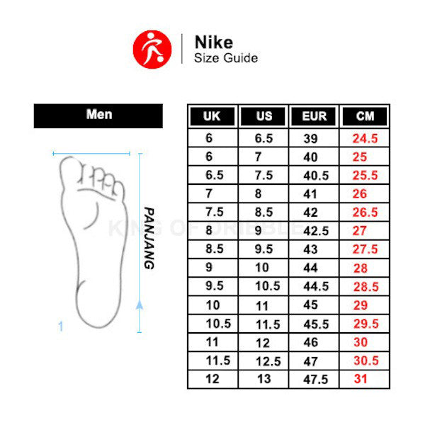 KING OF DRIBBLE Sepatu Running/Lari Nike Flex Experience Run 12 DV0740-004 Original
