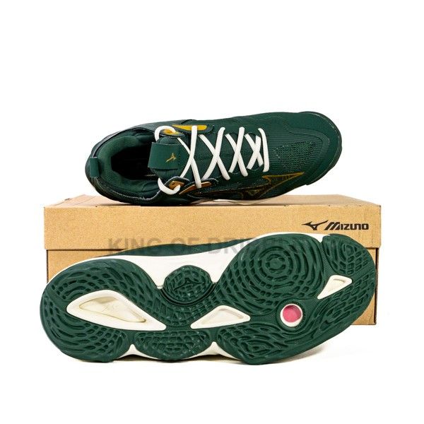 Sepatu Volley Mizuno Wave Momentum 3 MID V1GA231747 Original BNIB