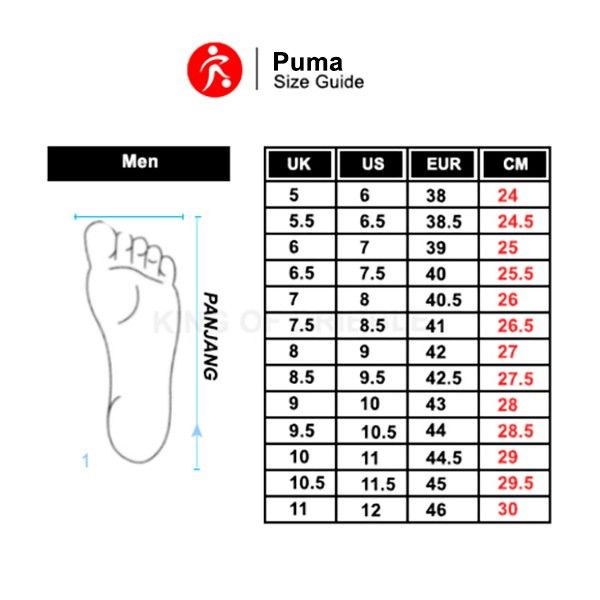 KING OF DRIBBLE Sepatu Futsal Puma Vitoria IT 107485-02 Original