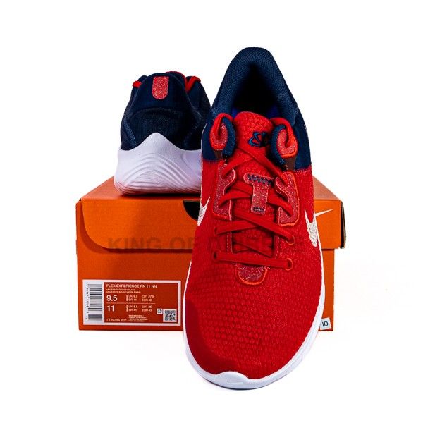 Sepatu Running/Lari Nike Flex Experience RN 11 NN DD9284-601 Original BNIB