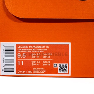 Sepatu Futsal Nike Legend 10 Academy IC DV4341-700 Original BNIB
