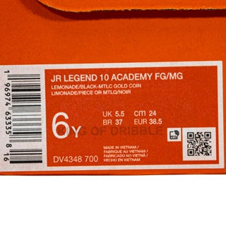 Sepatu Bola Anak Nike JR Legend 10 Academy FG/MG DV4348-700 Original BNIB