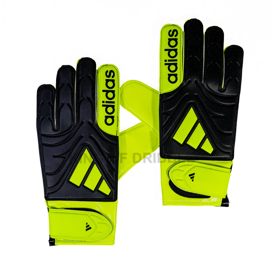 KING OF DRIBBLE Sarung Tangan Kiper Adidas Copa Club JN5340 Original