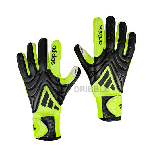 KING OF DRIBBLE Sarung Tangan Kiper Adidas Copa Gloves League JN5344 Original
