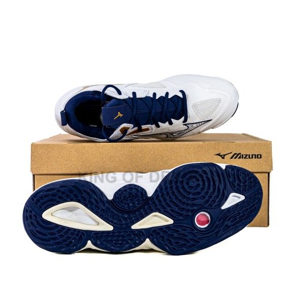 Sepatu Volley Mizuno Wave Momentum 3 MID V1GA231743 Original BNIB