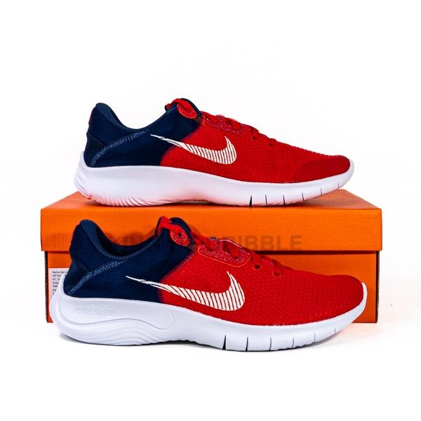 Sepatu Running/Lari Nike Flex Experience RN 11 NN DD9284-601 Original BNIB